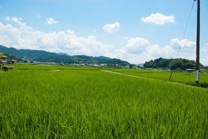 奈良の田園風景